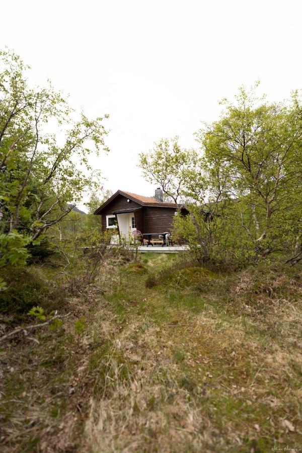 Haugteig Villa Lyngværet Dış mekan fotoğraf