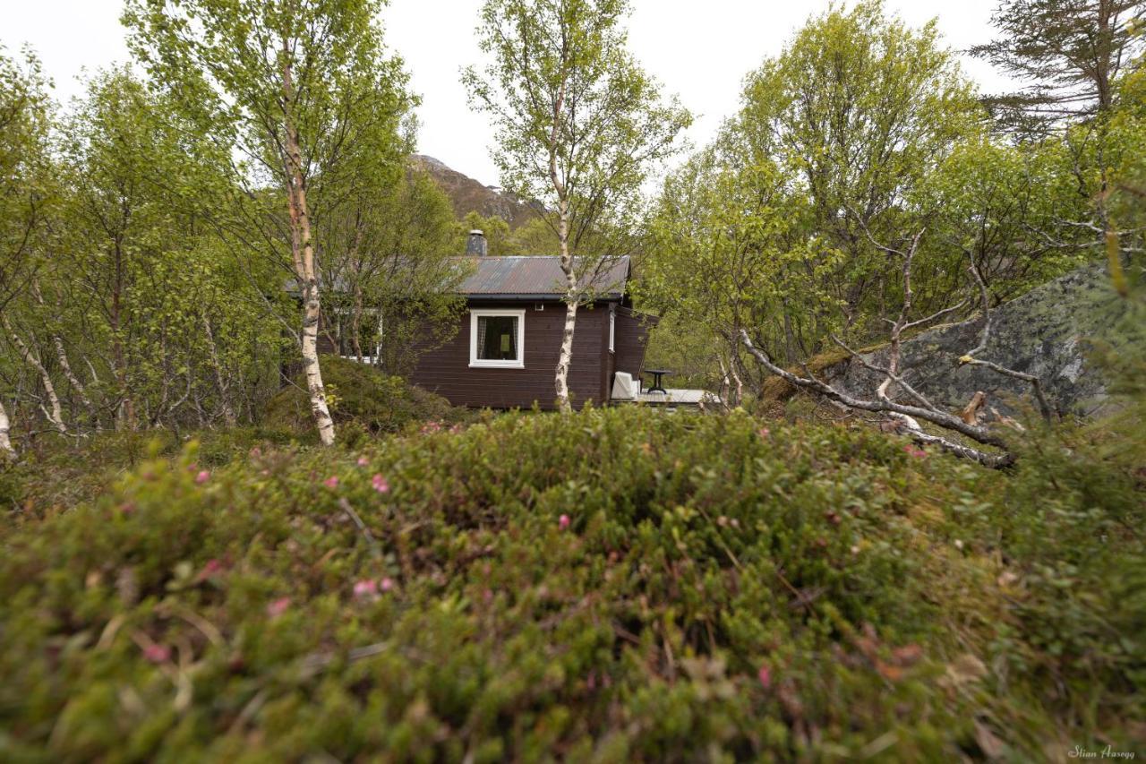 Haugteig Villa Lyngværet Dış mekan fotoğraf